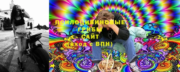 твердый Алзамай