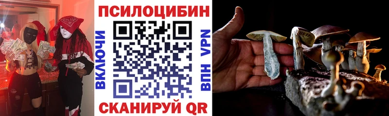 Псилоцибиновые грибы мухоморы darknet официальный сайт Полярный что такое наркотик